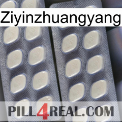 Ziyinzhuangyang 07